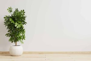 ideas-decoracion-living-moderno